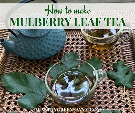 mulberry tree leaf tea.